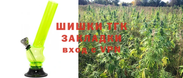 mdpv Елизово