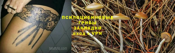 mdpv Елизово