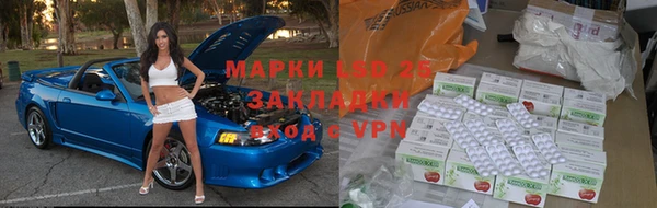 mdpv Елизово